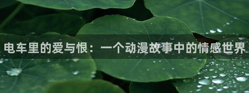 橘子动漫推荐
