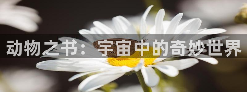橘子动漫图片