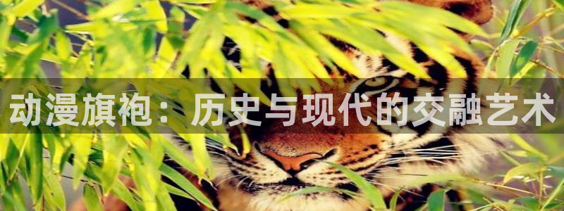 橘子动漫app